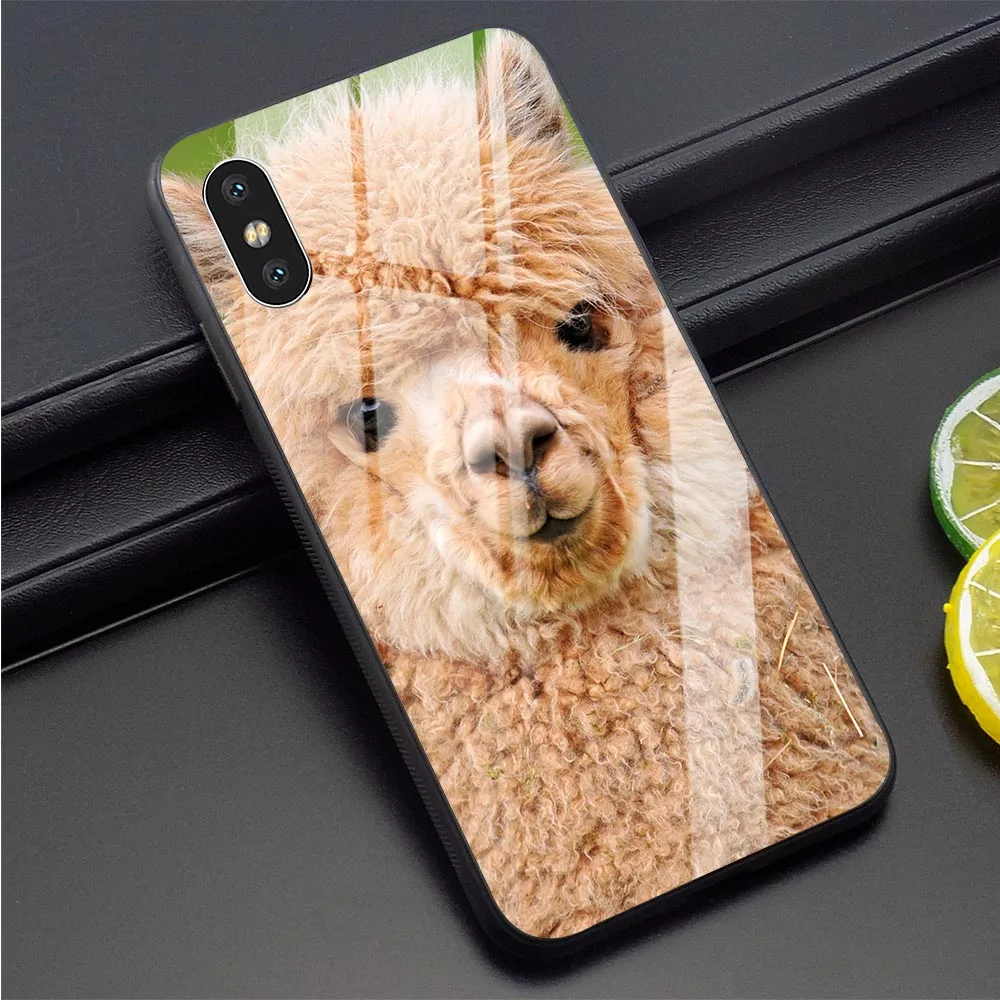 

Fashion Alpaca Tempered Glass Phone Case for iPhone 6S Cover 8 XR X 7 Plus 6 5 5S SE Xs Max Cases