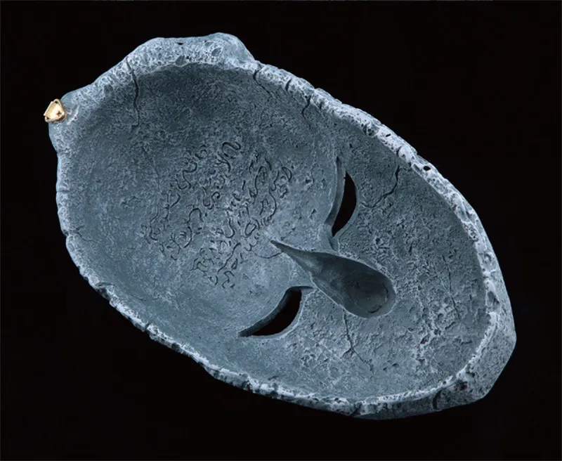 TB2bIppoXXXXXXvXXXXXXXXXXXX_!!468504648