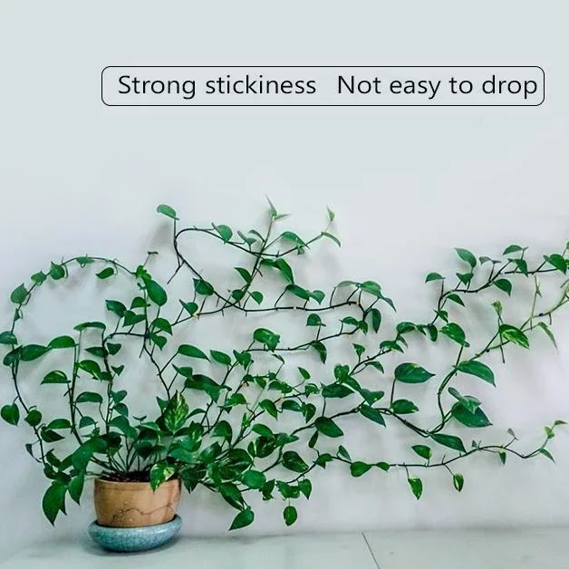 00_6c912f3e-94c9-4cb5-a513-9cd8c18ccd58