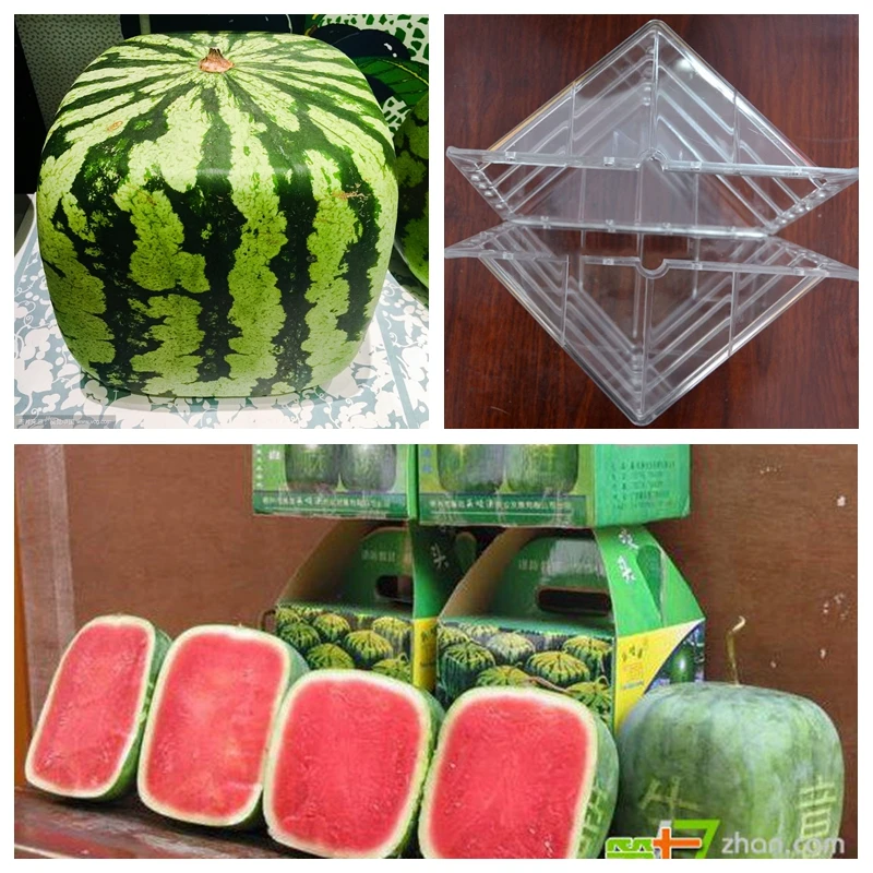 Пластиковая форма для выращивания арбуза в форме сердца 1 шт.|garden grow|plastic gardengarden