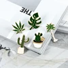 Lovely Badge Plant Potted Collar Shoe Lips Enamel Brooch  Coconut Tree Cactus Leaves Decorative Clothing Cartoon Pins Badge ► Photo 2/6