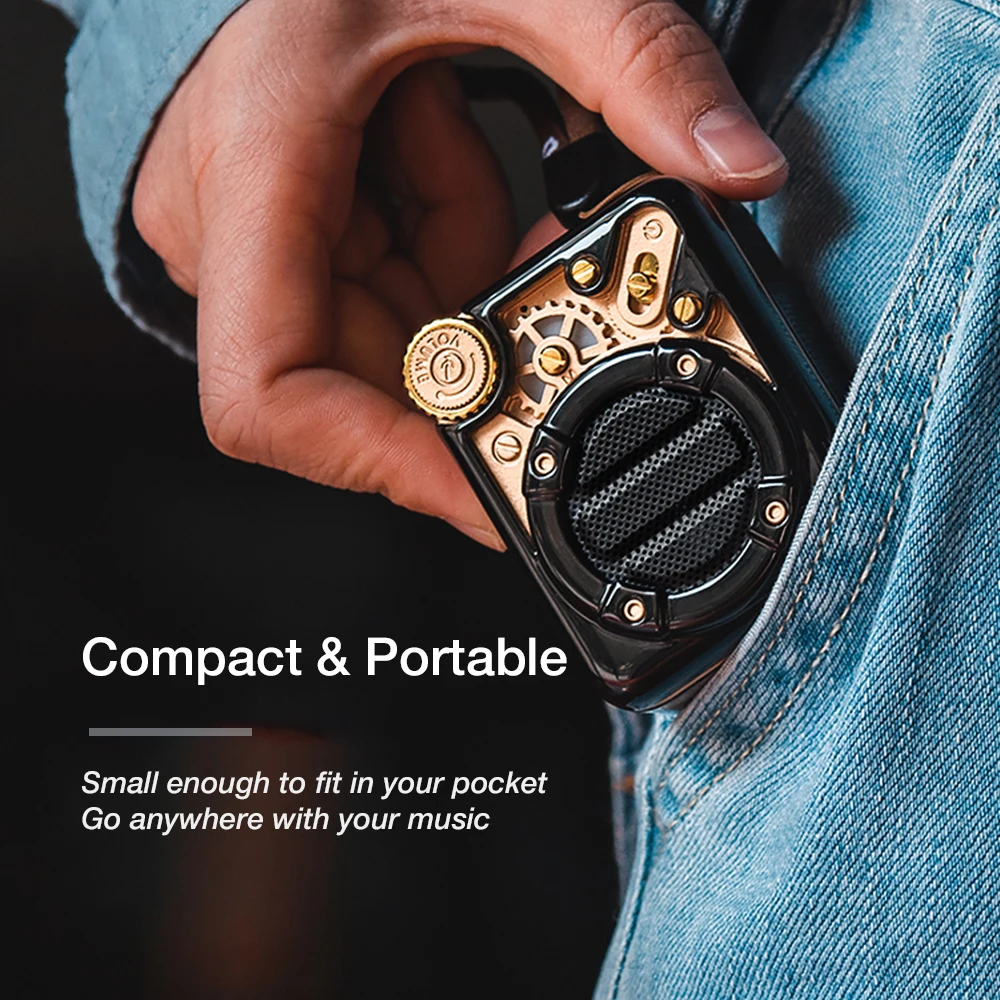 Divoom эспрессо портативный Bluetooth беспроводной динамик с FM радио и поддержкой 32G Micro