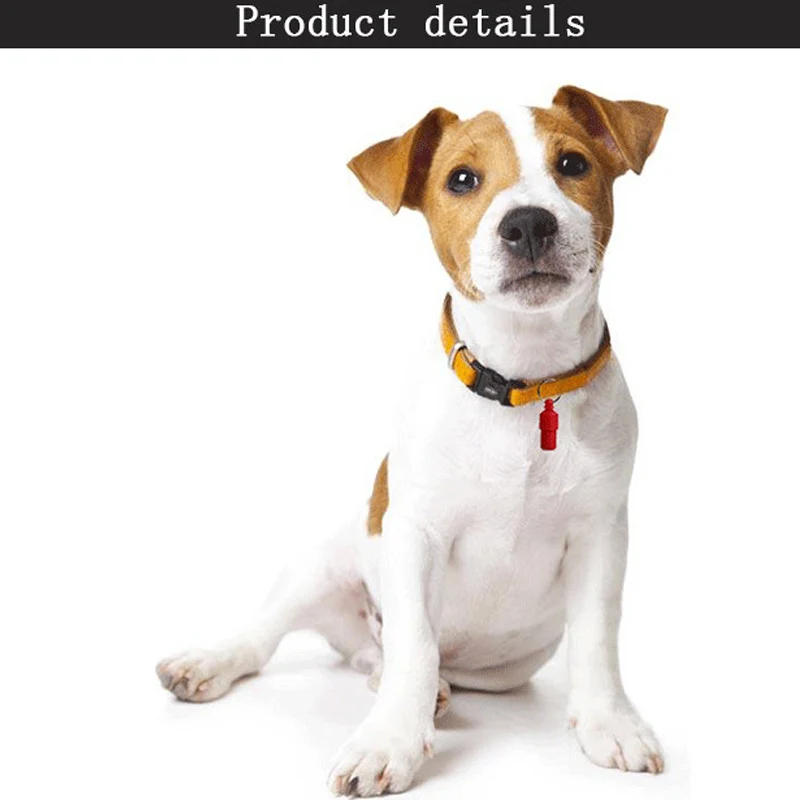 

Anti-Lost Collar Pendant Pet Identity Card Dog Cat ID Tags Silver Storage Capsule Address Label Tube Holder Identity Card ID Tag