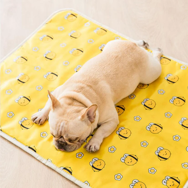 QQ截图20201009110748