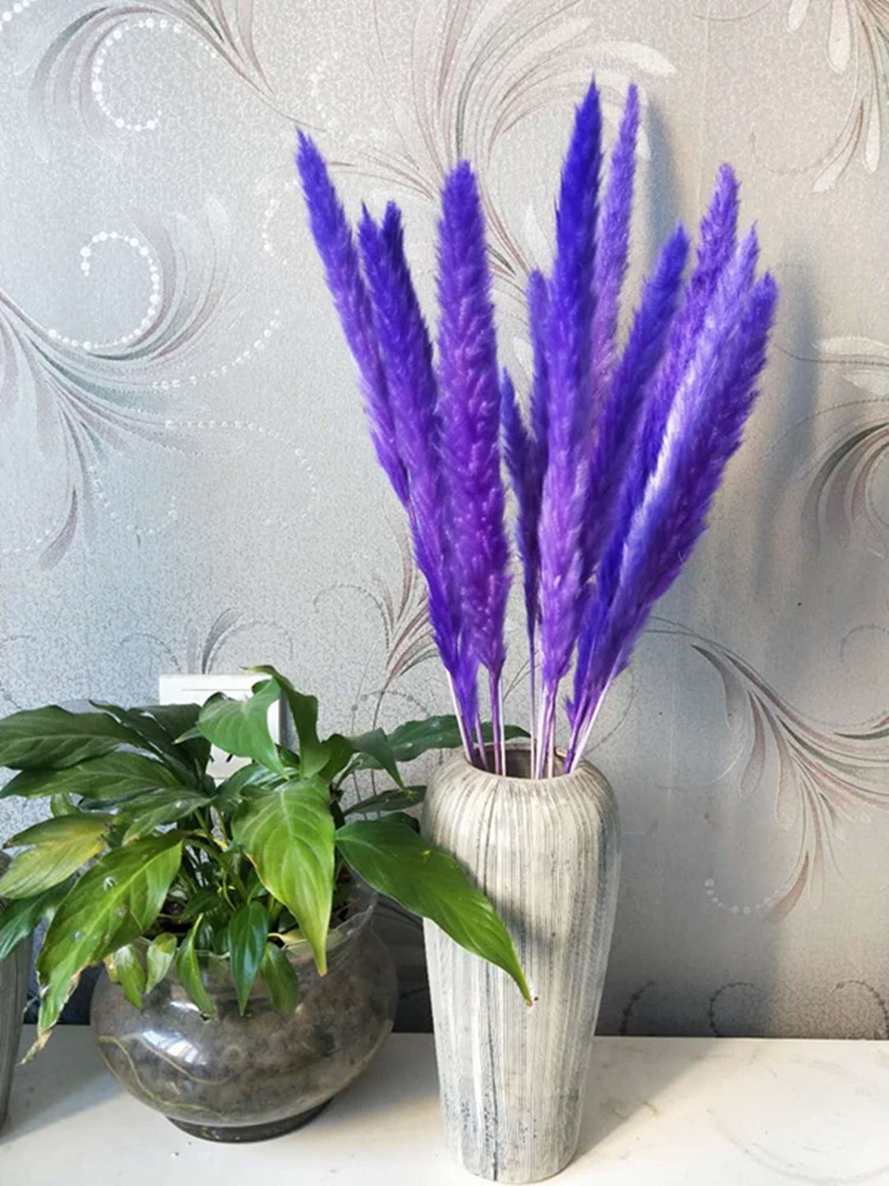 10254096413_187945908