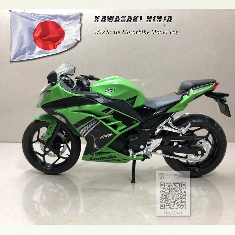 KAWASAKI NINJA (2)