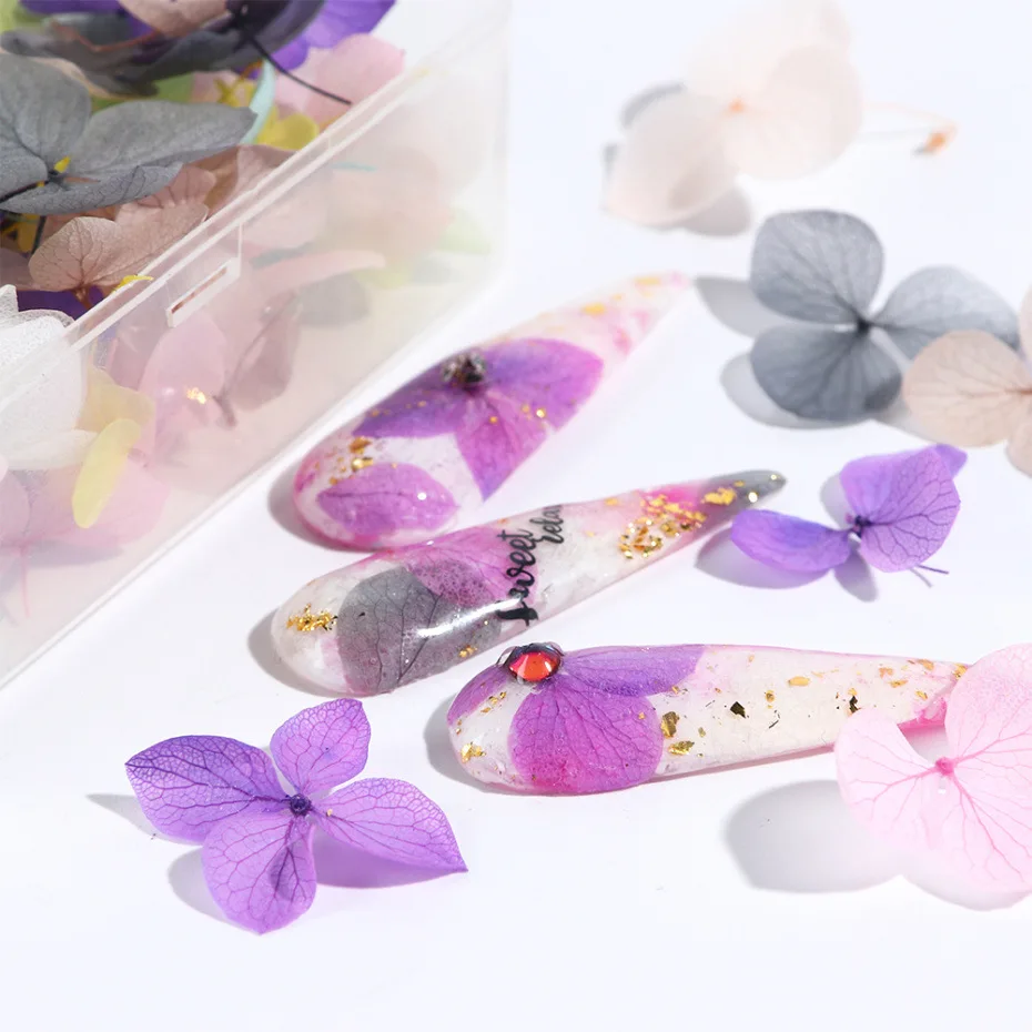 11477991824_1297727645