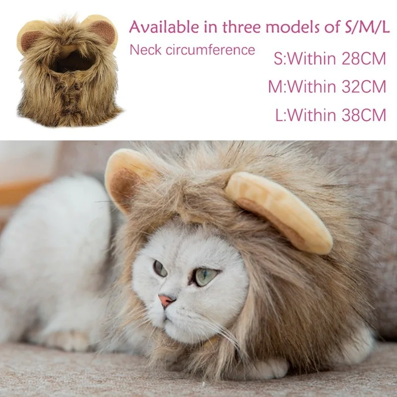 pet dog accessories.jpg_.webp