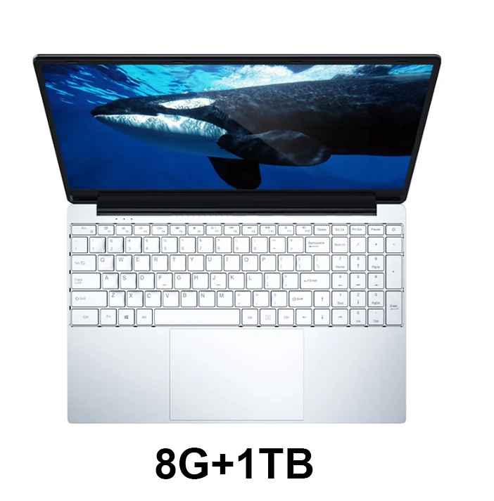 F5-8G-1TB-SSD 15,6 дюймовый ноутбук с клавиатурой с подсветкой 8 Гб ram DDR4 1 ТБ 512G 256G 128G SSD ноутбук компьютер Win10 Intel J3455 ips ультрабук - Цвет: F5-8G-1TB-SSD