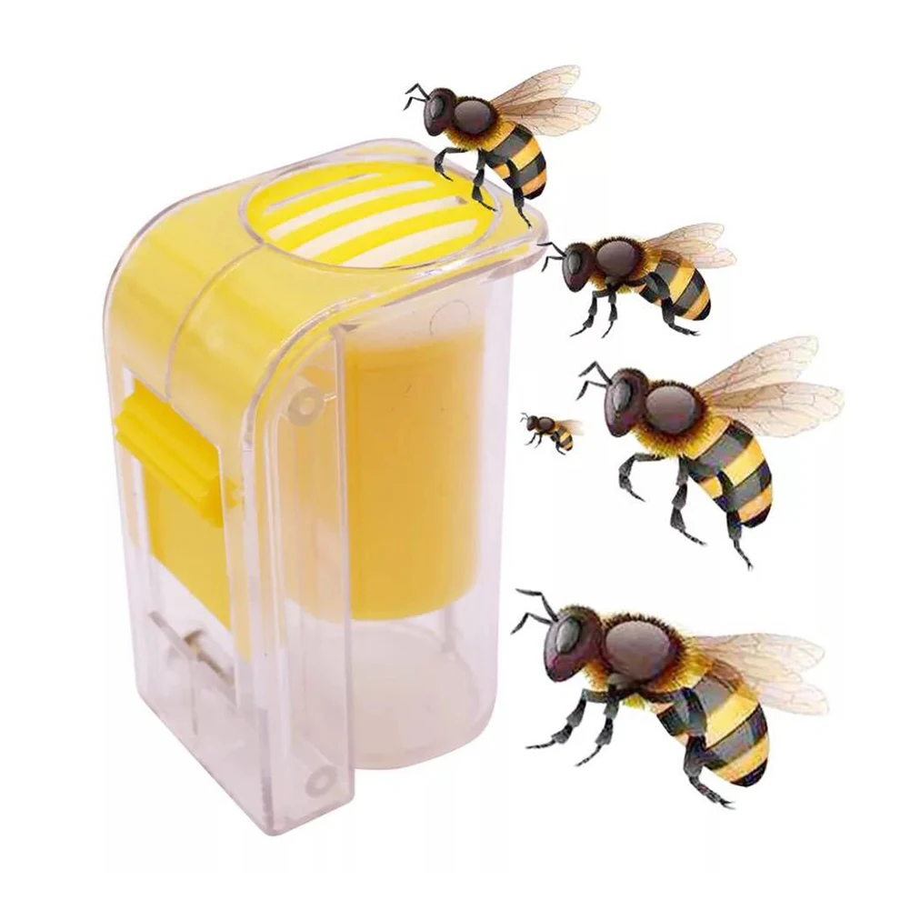 Queen Bee этикетка бутылка насадка для опрыскивания Новая этикетка King Bottle King Bee Cage