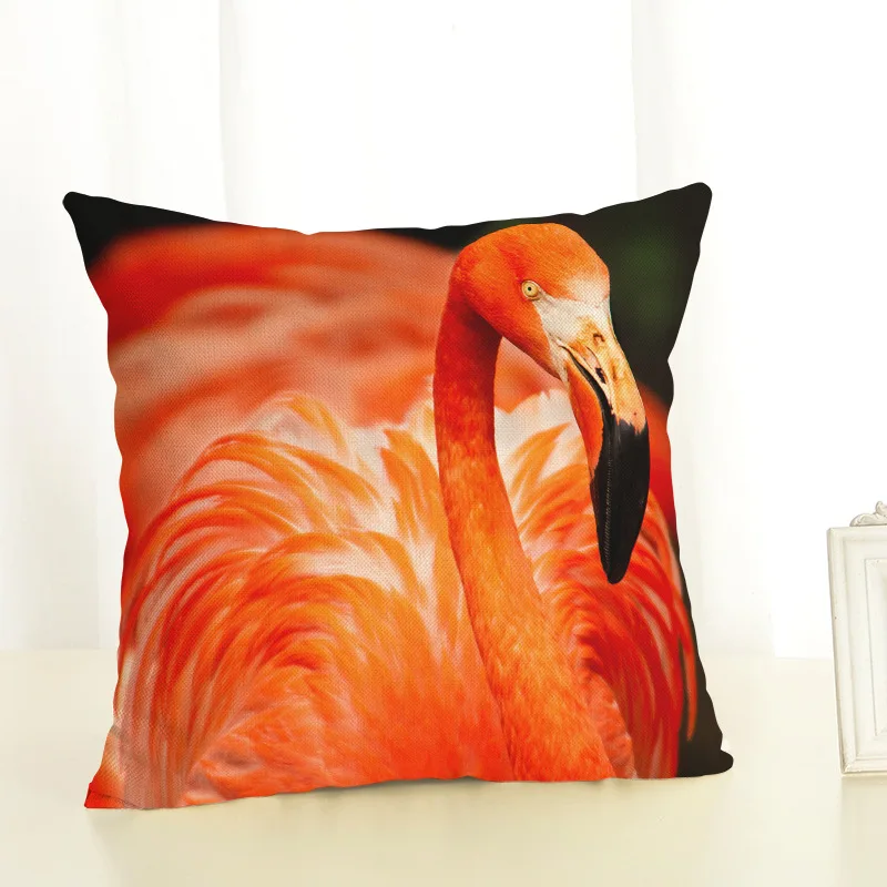 8852707543_1255064235