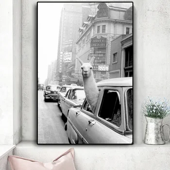 

Funny Alpaca Llama In A New York City Taxi Animal Canvas Painting Posters and Prints Wall Art Picture for Living Room Home Decor