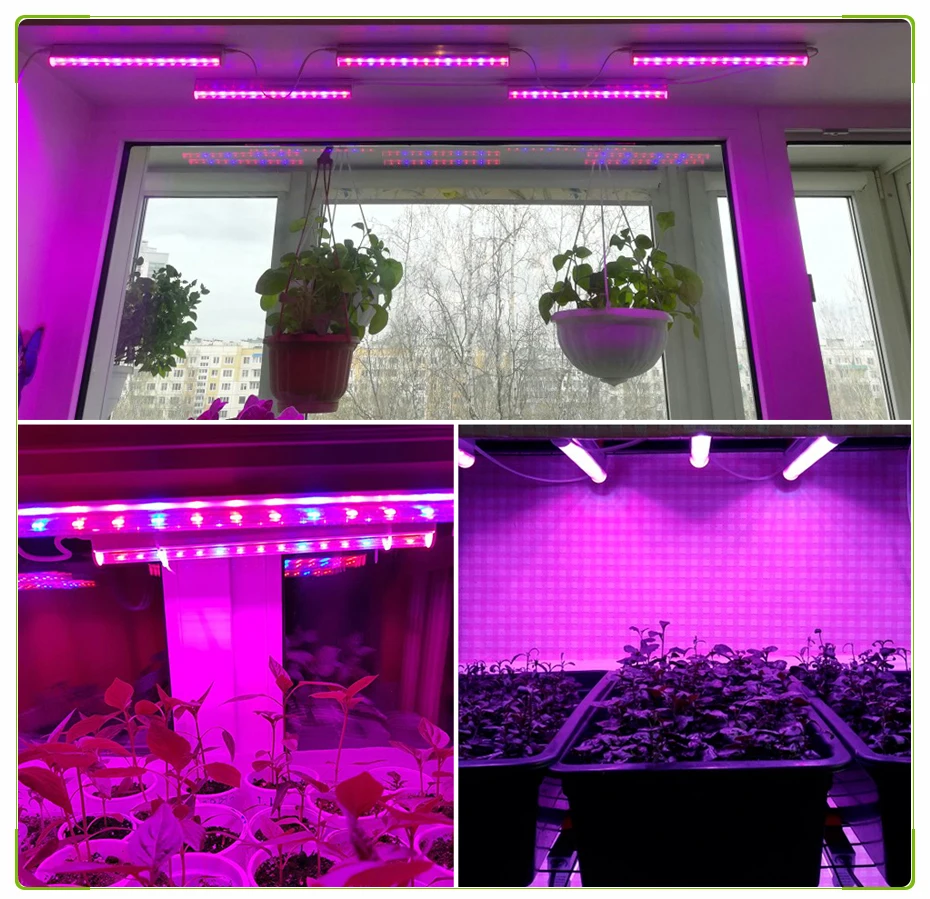 Cheap Luzes LED crescimento plantas