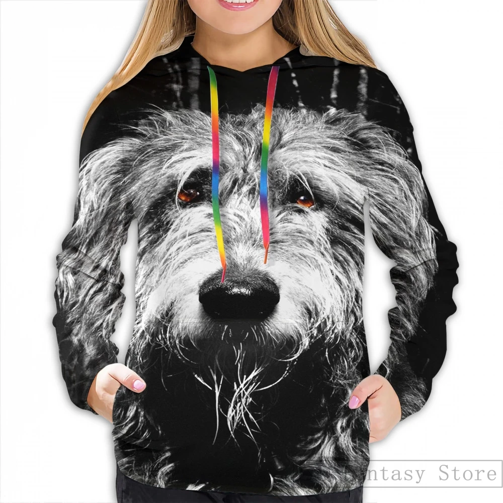 Women Мужские толстовки, свитшоты для женщин funny Hazard-Our Irish Wolfhound print casual hoodie Streatwear - Цвет: Women