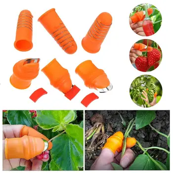 

3pcs Gardening Tools Pruning Shears Garden Picking Plant Picking Device Thumb Cutter Separator Finger Tool