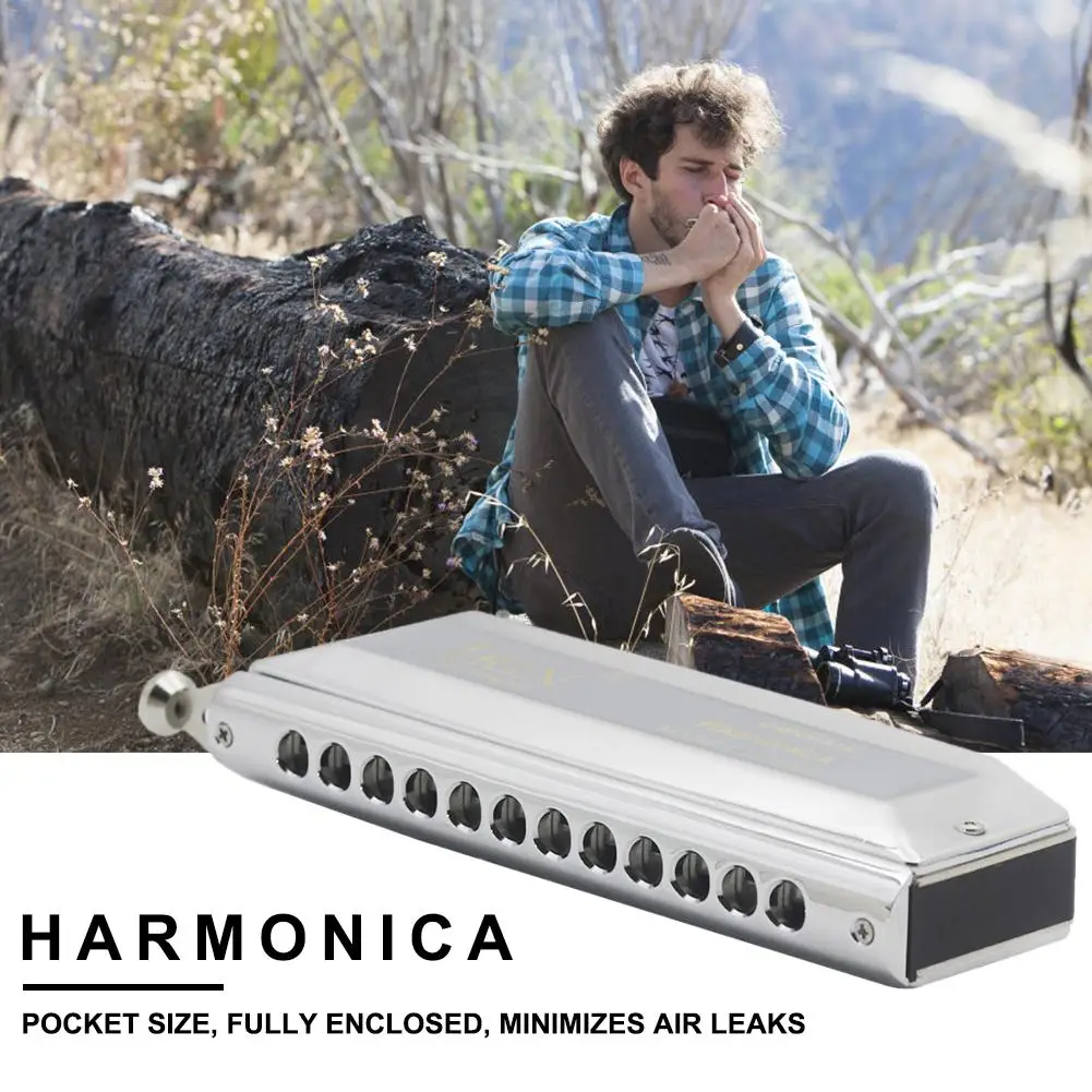 

12-Hole 48-Tone Chromatic Harmonica Harp Instrumentos Mouth Organs Harmonica With Case,Chrome For Beginner Musical Instrument