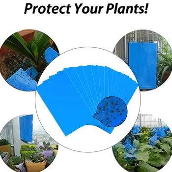 

20Pcs Pest Killer Cockroach Strong Flies Traps Convenient Double Side Eco- friendly Catching Aphid Insects Pest Repeller