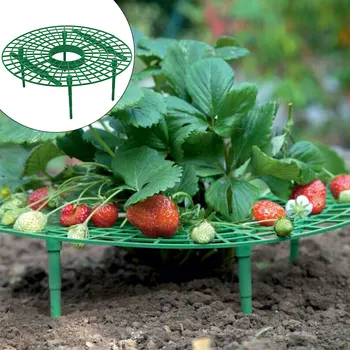 

Round Plant Flower Climbing Vine Pillar Strawberry Frame Holder Balcony Planting Rack Fruit Support Shelf Gardening Stand