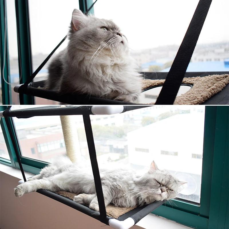 double cat hammock