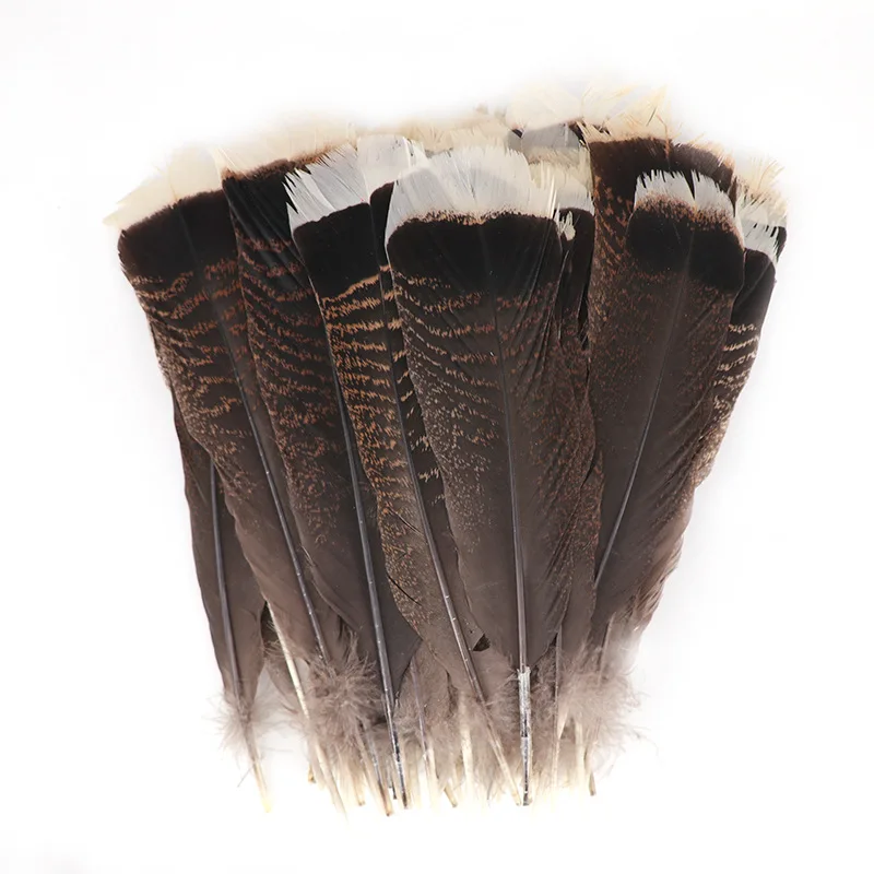 

100Pcs/Lot Turkey Pheasant Plumage Eagle Feathers 25-30cm/10-12inch Pheasant Feathers for Crafts Carnival Plumas Plumes