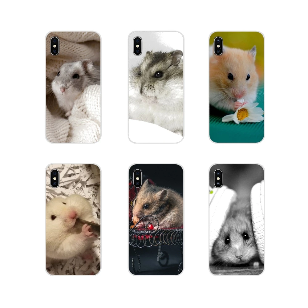 Cartoon Hamster For Samsung A10 A30 A40 A50 A60 A70 Galaxy S2 Note 2 3 Grand Core Prime Accessories Phone Cases Covers | Мобильные