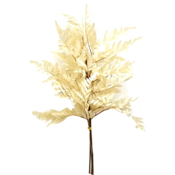 

Flower Invitation Alpine Fern Diy Immortal Flower Leaf Fern Leaf Specimen Drip Plant Preserved Flower Big Branch