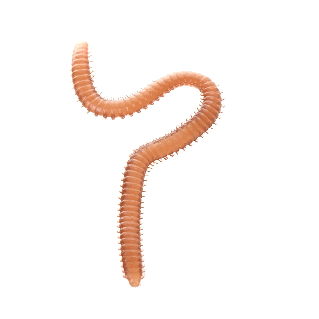 1 Box 3cm Smelly Flavored Soft Fishing Lure Plastics Lifelike Earthworm Fishing Lures with Box