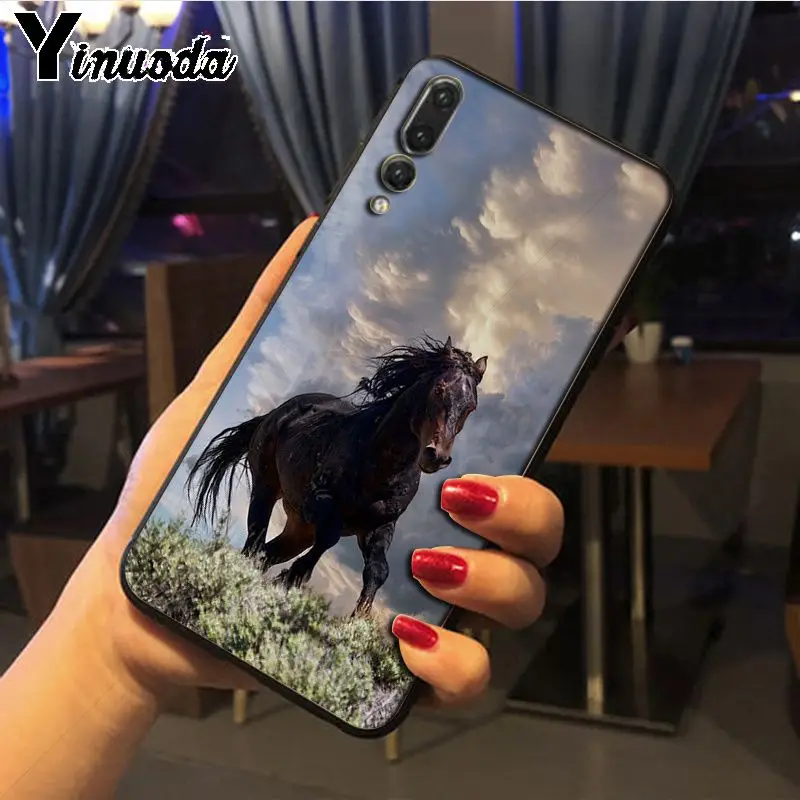 Hot running Horses animal