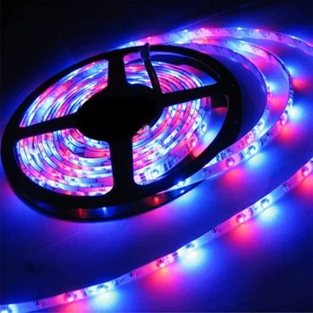

5m LED Strip Light RGB Waterproof RGB 5050 DC12V led Light Strip Remote Contol rgb String Diode Flexible Ribbon with Adapter