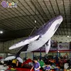 Factory Wholesale 3~12M Length Giant Inflatable Whale For Sale / 10 ft Inflatable Killer Whale Balloons - Toys 4