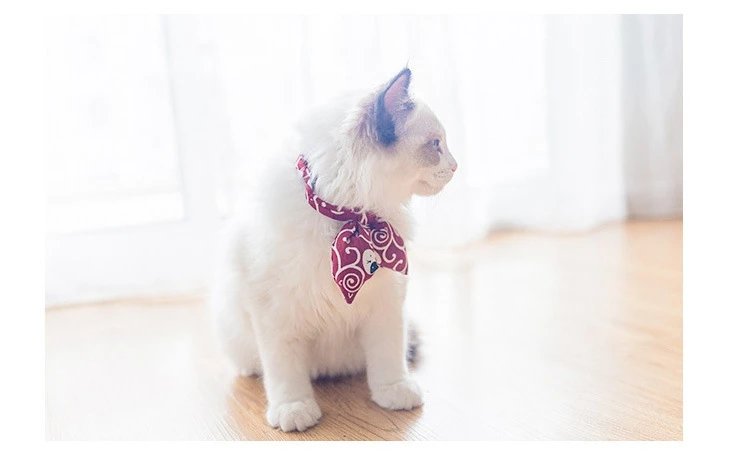 8 - 13164638283_328120956