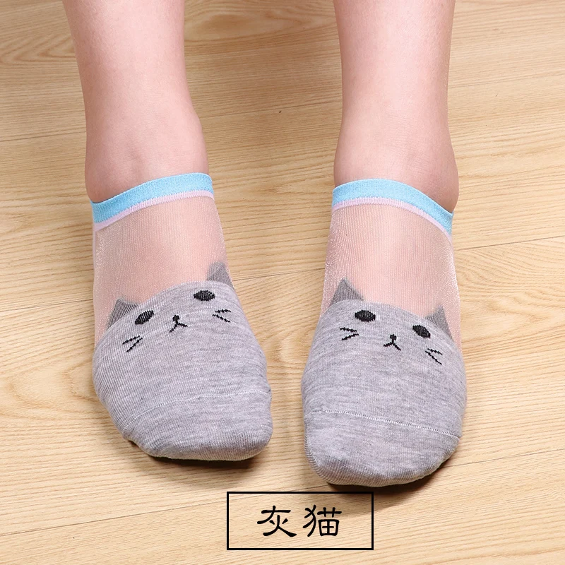 短-灰色小猫
