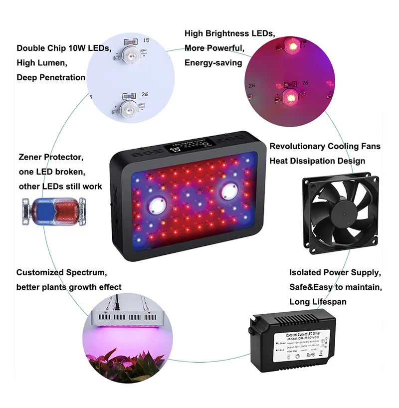 Full Spectrum Double Switch 1000W COB LED grow light Timer led lamps Veg/Bloom modes for Indoor plants Greenhouse grow tent