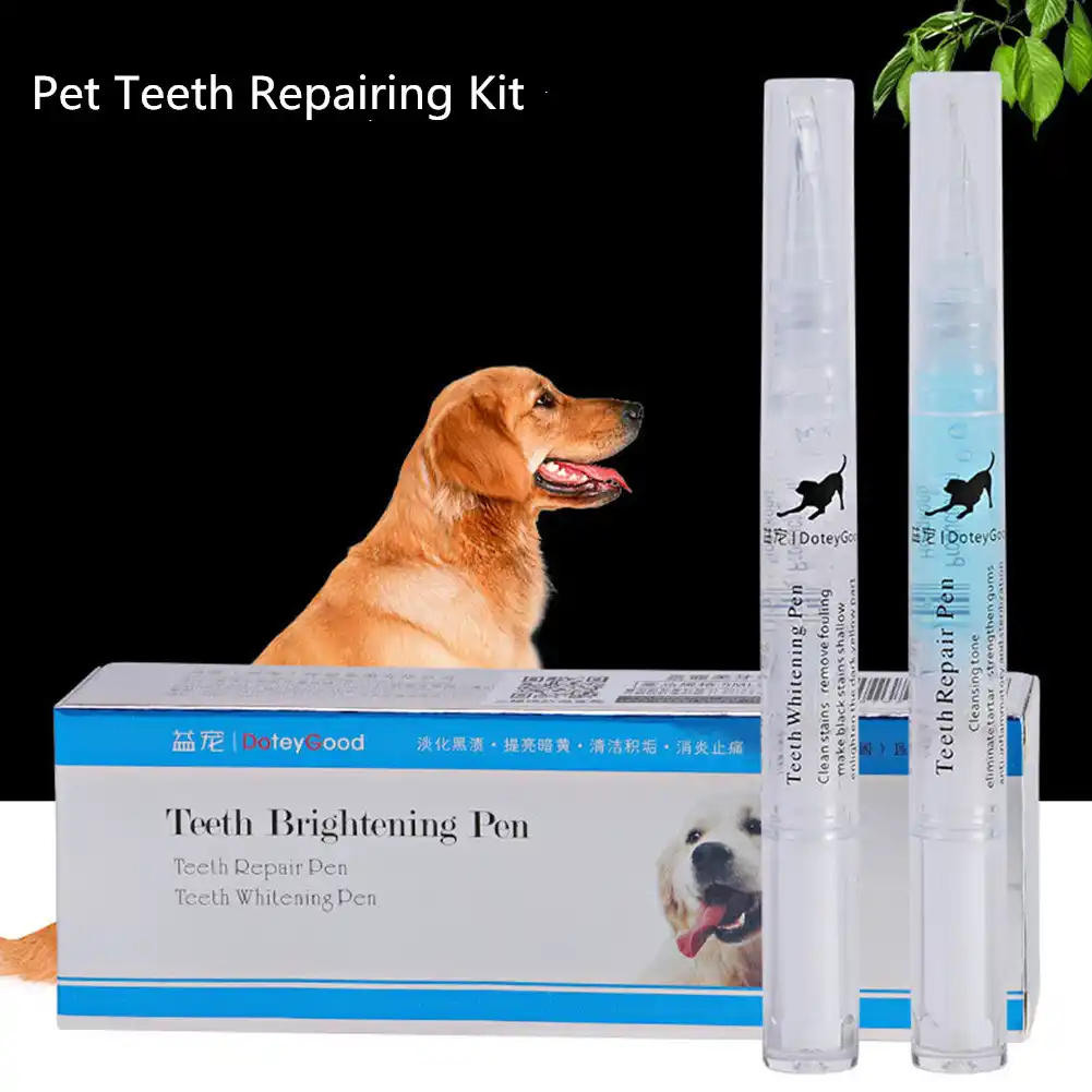 dog grooming teeth cleaning