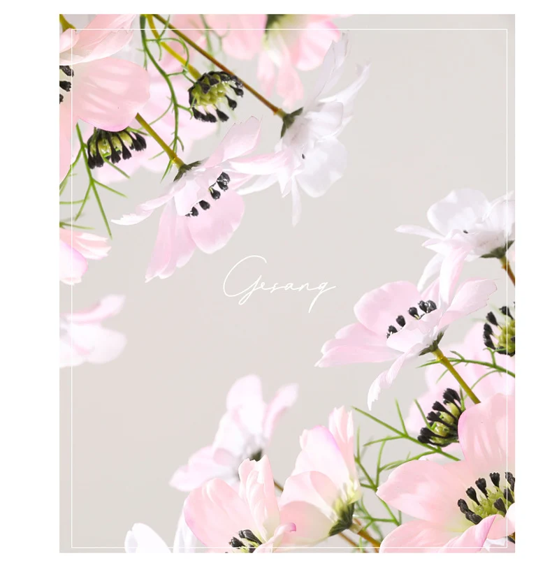 28b0acb0-ceb3-43ed-b174-60128329eed3