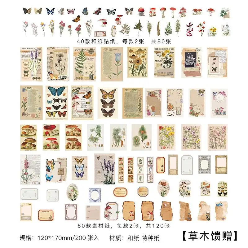 Deco Sticker & Paper Set - Vintage Nature Script - 200 pièces