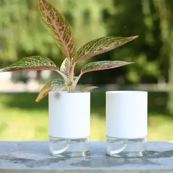

Double Layer Automatic Irrigation Hydroponics Plant Flower Pot Vases Planter