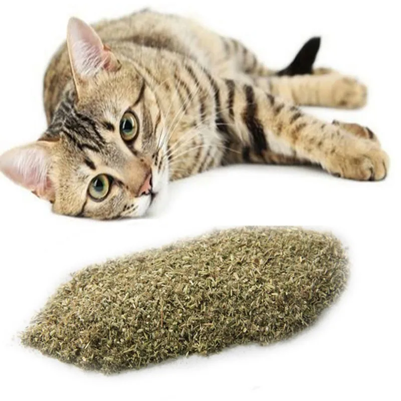 Натуральный Премиум Catnip крупного рогатого скота трава ментоловый аромат забавные игрушки для кошек Pet полезный, безопасный угощение