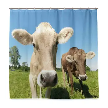 

Unique Shower Curtain Close Up Sweet Photo of Cows at Meadow in with Open Sky Eco-Friendly with 12 Hooks in Bathroom W72 xH79