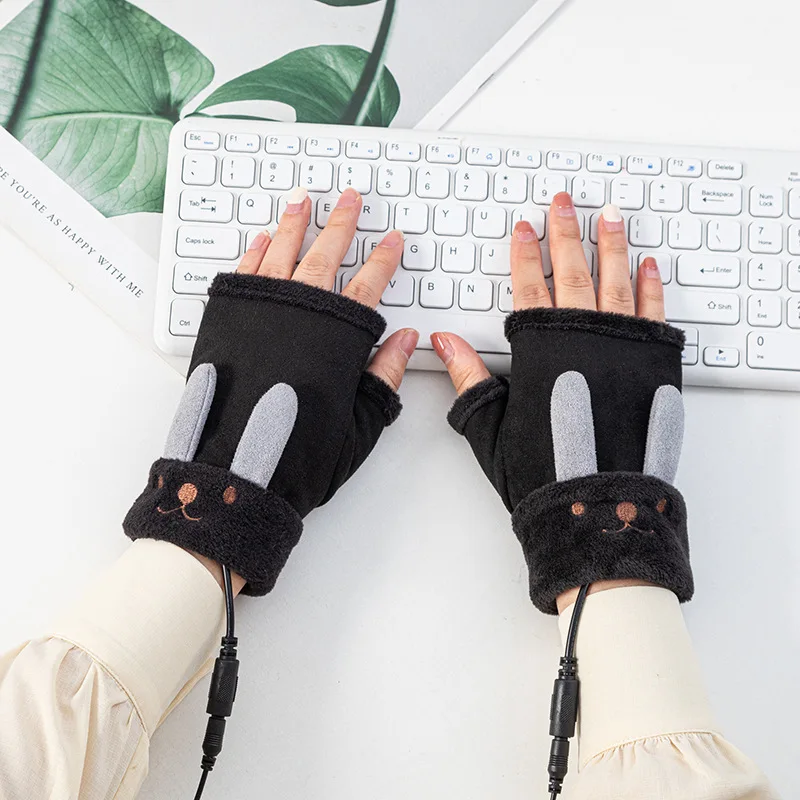 Gants Chauffants Ski Mitaines Chauffantes USB Pour Hommes Et