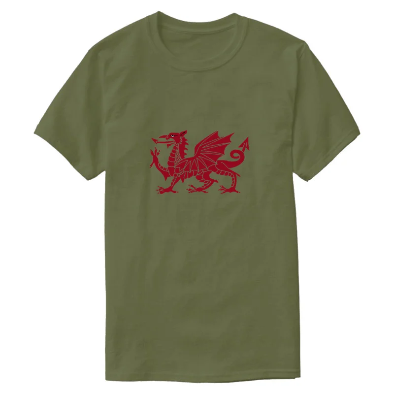 

Novelty Great Welsh Dragon Symbol Of Wales T-Shirt 2019 Sunlight Size S-5xl Customized Men T-Shirt Awesome Slogan Hiphop