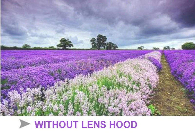 3-WITHOUT LENS HOOD