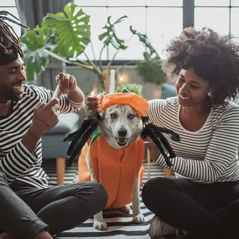 

Halloween Pet Spider Style Clothes Horrorible Creative Pet Cosplay Clothes