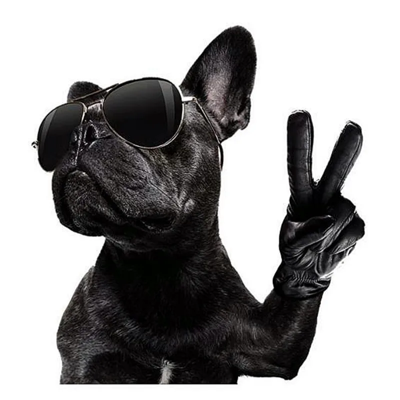 Patches Cool Dog Transfert Thermique Vetement Clothes Stickers Diy Stranger Things Appliques