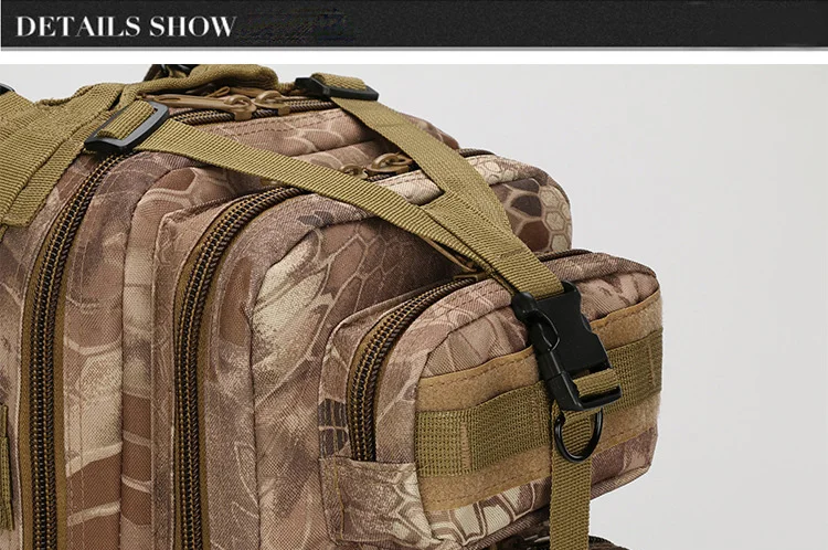 3763283560_2018406136