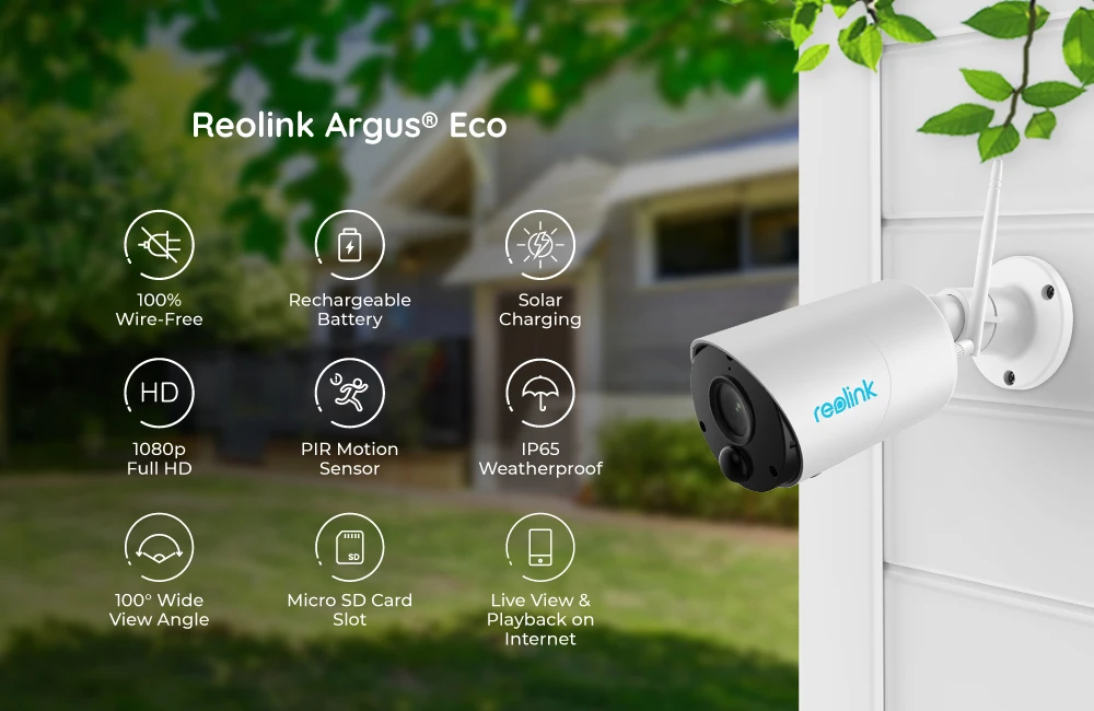 reolink argus eco