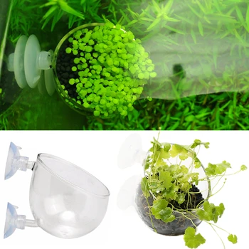 

Glass Fish Tank Plant Bonsai Mini Pot Aquarium Decoration Water Grass Plant Potted Coral Planting Cylinder Cup Tank Accessories