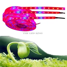 Светодиодный светильник 5050 DC12V Фито лента для растений DIY лампы для роста водонепроницаемый фитолампа для теплицы гидропоники для выращивания растений