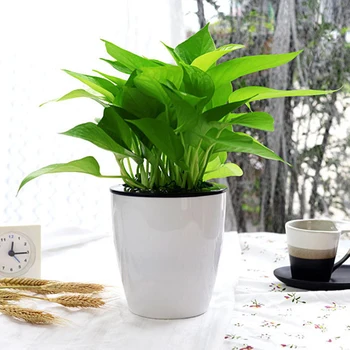 

Self-watering Plant Flower Pot Wall Hanging Plastic Planter Home Office Decor Flower Pots Home Desktop Flowerpot