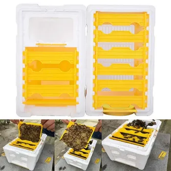 

Honey Beehive Frames Beekeeping Tool Harvest Bee Hive King Foam Pollination Box for Bee Mating Copulation Beekeeping Equipment